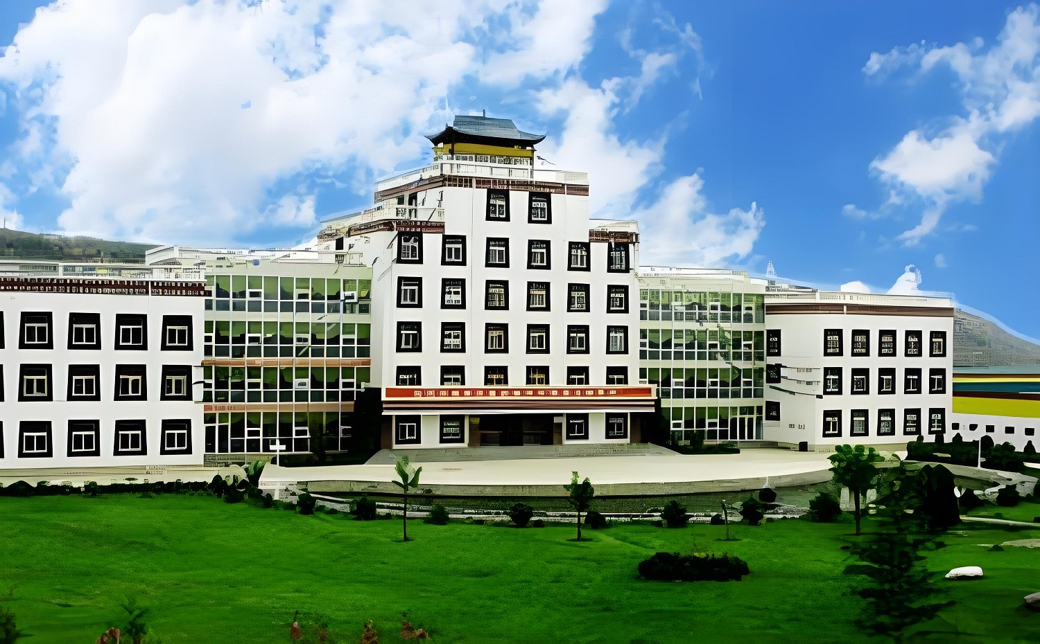 西藏奇正藏药MES项目